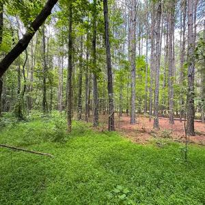Photo #9 of SOLD property in Off Rolling Acres Rd, Skippers, VA 3.0 acres