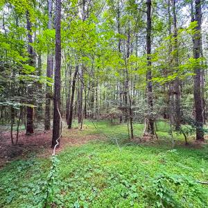 Photo #11 of SOLD property in Off Rolling Acres Rd, Skippers, VA 3.0 acres