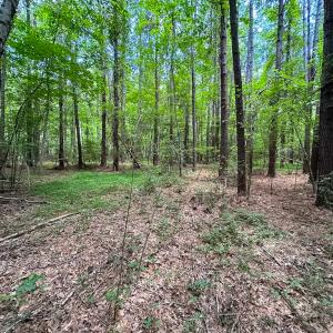 Photo #17 of SOLD property in Off Rolling Acres Rd, Skippers, VA 3.0 acres