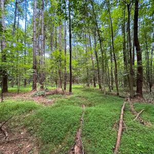 Photo #19 of SOLD property in Off Rolling Acres Rd, Skippers, VA 3.0 acres