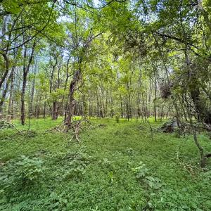 Photo #20 of SOLD property in Off Rolling Acres Rd, Skippers, VA 3.0 acres