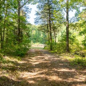 Photo #14 of Off Mays Chapel Rd, Bear Creek, NC 20.0 acres