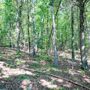 Photo #16 of Off Mays Chapel Rd, Bear Creek, NC 20.0 acres