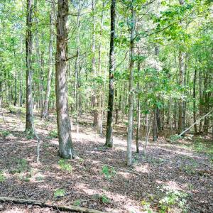 Photo #17 of Off Mays Chapel Rd, Bear Creek, NC 20.0 acres