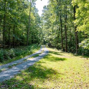Photo #20 of Off Mays Chapel Rd, Bear Creek, NC 20.0 acres