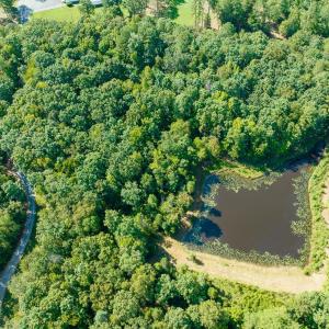 Photo #5 of Off Mays Chapel Rd, Bear Creek, NC 20.0 acres