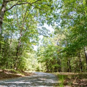 Photo #8 of Off Mays Chapel Rd, Bear Creek, NC 20.0 acres