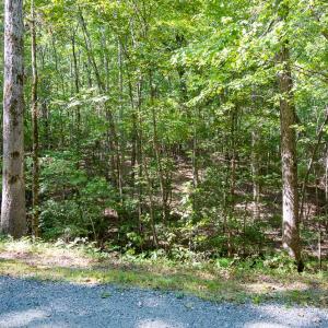 Photo #24 of Off Mays Chapel Rd, Bear Creek, NC 20.0 acres