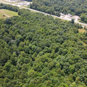 Photo #12 of Off A.L. Philpott Hwy, Martinsville, VA 40.6 acres
