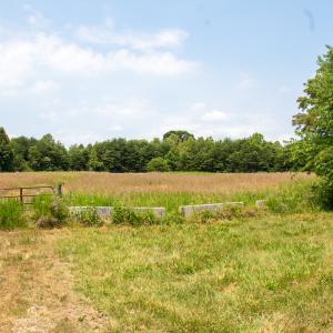 Photo #4 of Off A.L. Philpott Hwy, Martinsville, VA 40.6 acres