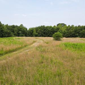 Photo #5 of Off A.L. Philpott Hwy, Martinsville, VA 40.6 acres