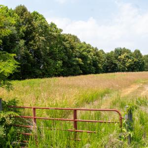 Photo #6 of Off A.L. Philpott Hwy, Martinsville, VA 40.6 acres