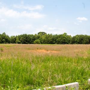 Photo #7 of Off A.L. Philpott Hwy, Martinsville, VA 40.6 acres
