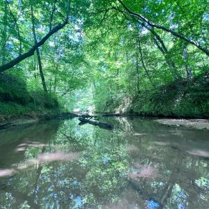 Photo #23 of SOLD property in Off Baltimore Rd, Warrenton, NC 2.4 acres
