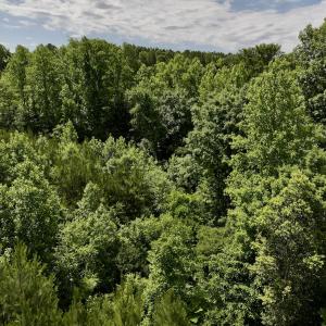 Photo #31 of SOLD property in Off Baltimore Rd, Warrenton, NC 2.4 acres