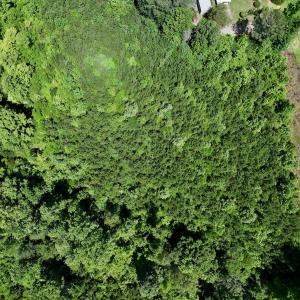 Photo #33 of SOLD property in Off Baltimore Rd, Warrenton, NC 2.4 acres