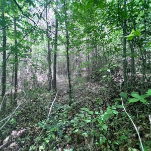 Photo #37 of SOLD property in Off Baltimore Rd, Warrenton, NC 2.4 acres