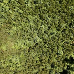 Photo #44 of SOLD property in Off Baltimore Rd, Warrenton, NC 2.4 acres