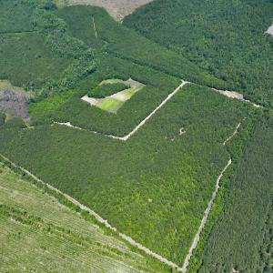 Photo #2 of Off Long Ridge Rd, Plymouth, NC 88.7 acres