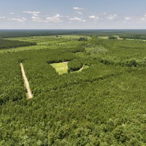 Photo #12 of Off Long Ridge Rd, Plymouth, NC 88.7 acres