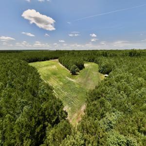Photo #18 of Off Long Ridge Rd, Plymouth, NC 88.7 acres