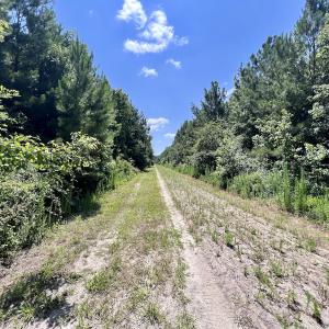 Photo #47 of Off Long Ridge Rd, Plymouth, NC 88.7 acres