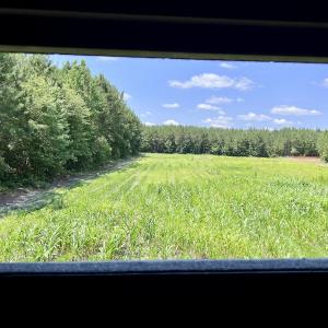 Photo #56 of Off Long Ridge Rd, Plymouth, NC 88.7 acres