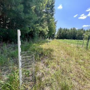 Photo #60 of Off Long Ridge Rd, Plymouth, NC 88.7 acres