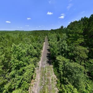 Photo #74 of Off Long Ridge Rd, Plymouth, NC 88.7 acres