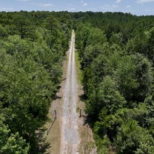 Photo #76 of Off Long Ridge Rd, Plymouth, NC 88.7 acres