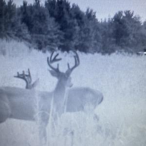 Photo #61 of Off Long Ridge Rd, Plymouth, NC 88.7 acres