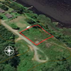 Photo #8 of SOLD property in Off Old Gaston Extended - Lot 1, Gaston, NC 0.5 acres