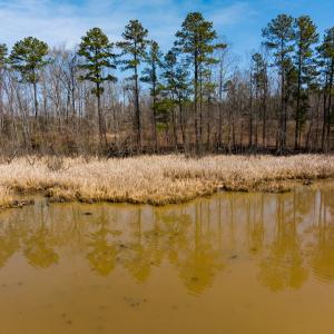 Photo #36 of SOLD property in Off Old Gaston Extended - Lot 1, Gaston, NC 0.5 acres