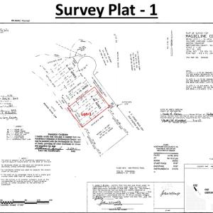 Photo #45 of SOLD property in Off Old Gaston Extended - Lot 1, Gaston, NC 0.5 acres