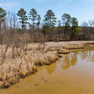 Photo #30 of SOLD property in Off Old Gaston Extended - Lot 2, Gaston, NC 0.5 acres