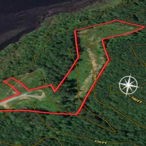 Photo #7 of SOLD property in Off Old Gaston Extended - Lot 3, Gaston, NC 4.1 acres