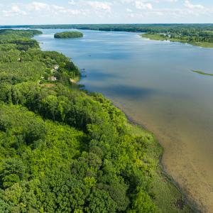 Photo #16 of SOLD property in Off Old Gaston Extended - Lot 3, Gaston, NC 4.1 acres