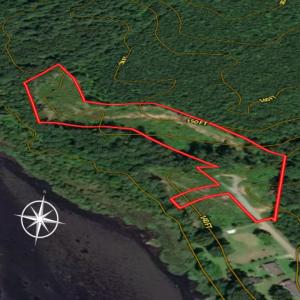 Photo #26 of SOLD property in Off Old Gaston Extended - Lot 3, Gaston, NC 4.1 acres