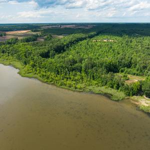 Photo #36 of SOLD property in Off Old Gaston Extended - Lot 3, Gaston, NC 4.1 acres