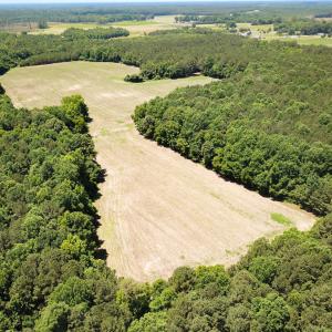 Photo #3 of SOLD property in Off Meherrin Rd, Courtland, VA 115.0 acres