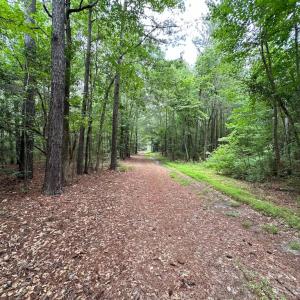 Photo #6 of SOLD property in Off Meherrin Rd, Courtland, VA 115.0 acres