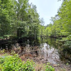 Photo #7 of SOLD property in Off Meherrin Rd, Courtland, VA 115.0 acres