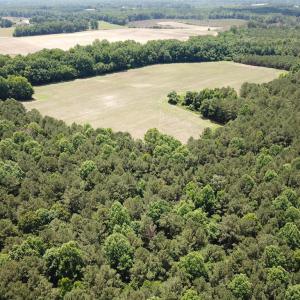Photo #8 of SOLD property in Off Meherrin Rd, Courtland, VA 115.0 acres