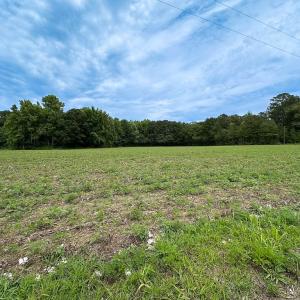Photo #9 of SOLD property in Off Meherrin Rd, Courtland, VA 115.0 acres