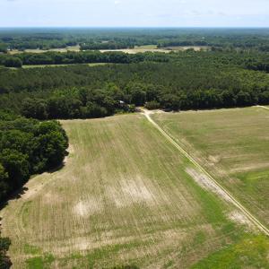 Photo #11 of SOLD property in Off Meherrin Rd, Courtland, VA 115.0 acres