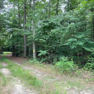 Photo #13 of SOLD property in Off Meherrin Rd, Courtland, VA 115.0 acres