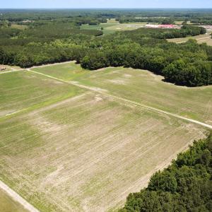 Photo #14 of SOLD property in Off Meherrin Rd, Courtland, VA 115.0 acres
