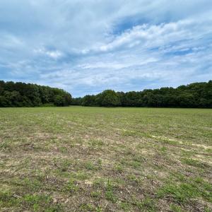 Photo #16 of SOLD property in Off Meherrin Rd, Courtland, VA 115.0 acres