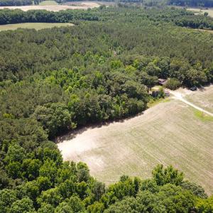 Photo #17 of SOLD property in Off Meherrin Rd, Courtland, VA 115.0 acres
