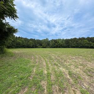 Photo #18 of SOLD property in Off Meherrin Rd, Courtland, VA 115.0 acres